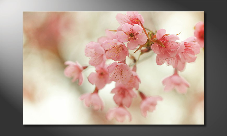 Arredamento-moderno-Cherry-Blossoms-80x50-cm