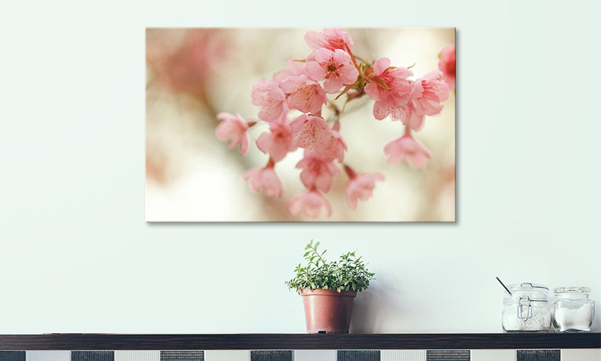 Arredamento moderno Cherry Blossoms 80x50 cm