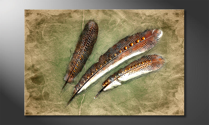 Arredamento moderno Feather Of Pheasan