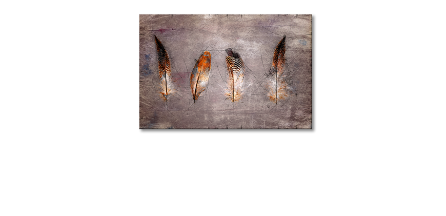 Arredamento-moderno-Four-Feathers