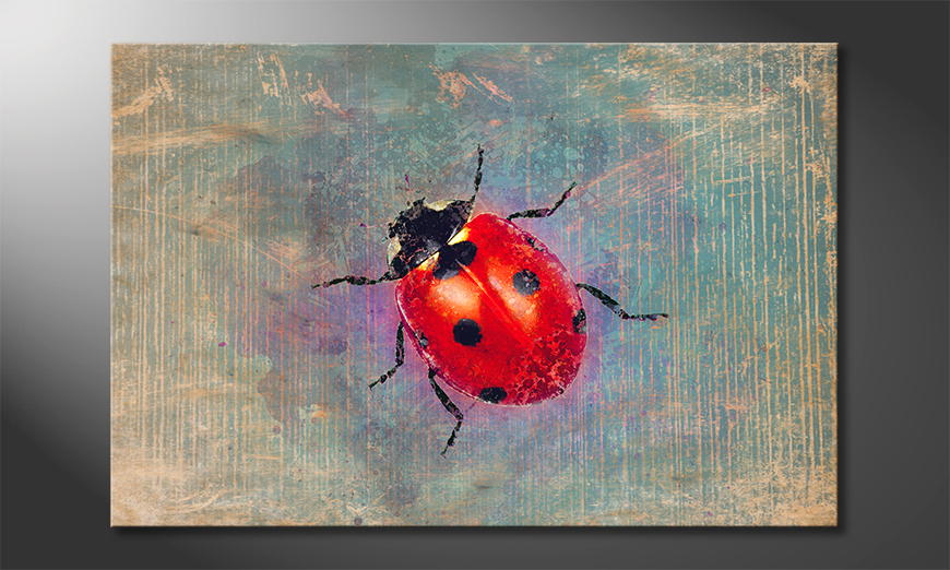 Arredamento-moderno-Ladybug