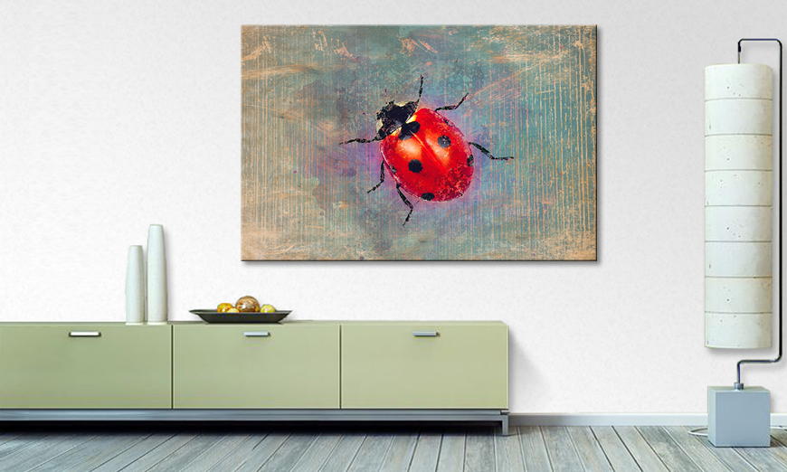 Arredamento moderno Ladybug
