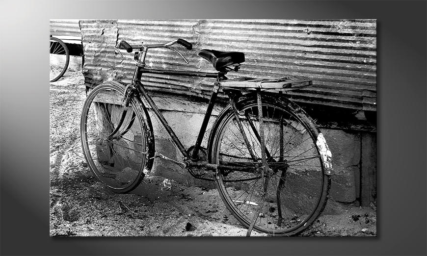 Arredamento-moderno-Old-Bike