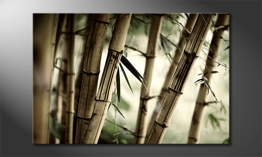 Bamboo-Forest-tela