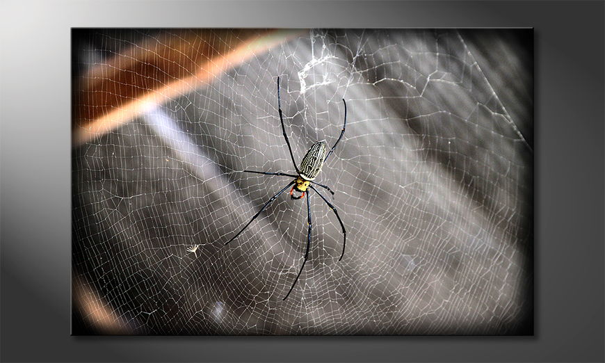 Beautiful-Spider-quadro-moderna