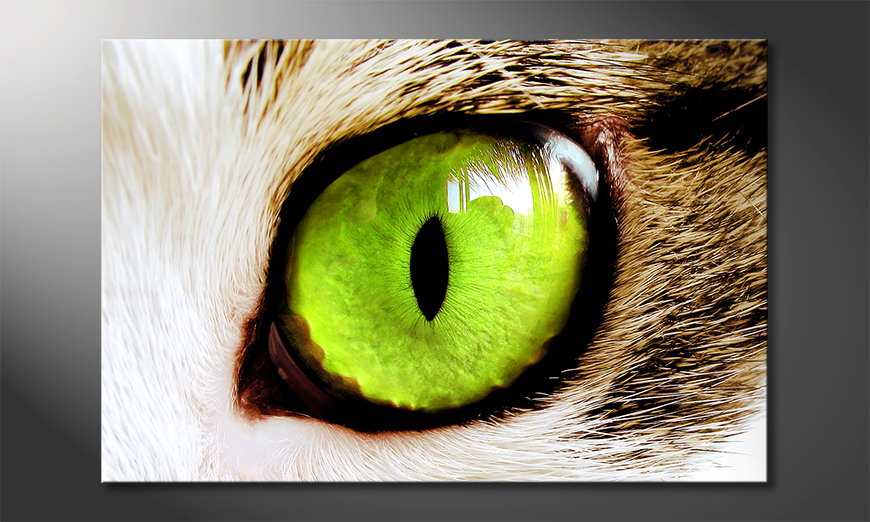 Cats-Eye-quadro