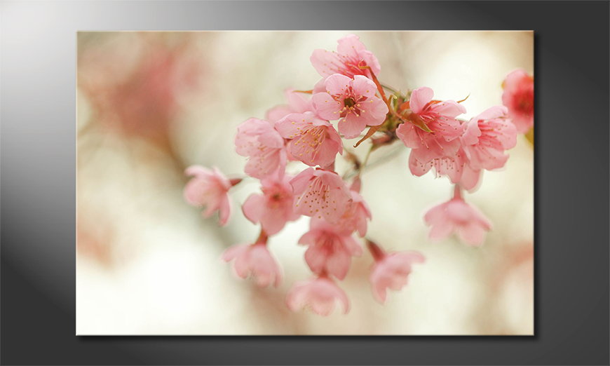 Cherry-Blossoms-quadro