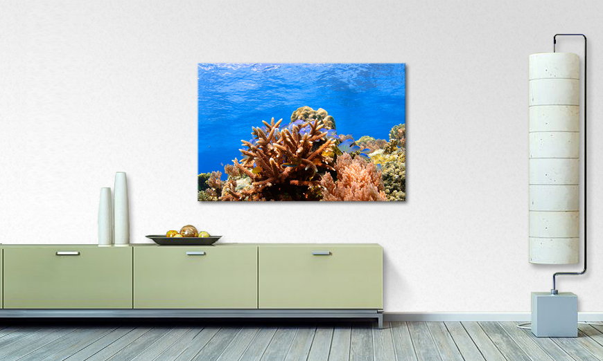 Corals Reef quadro