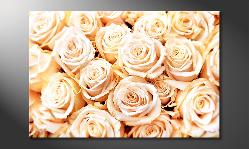 Creamy-Roses-tela