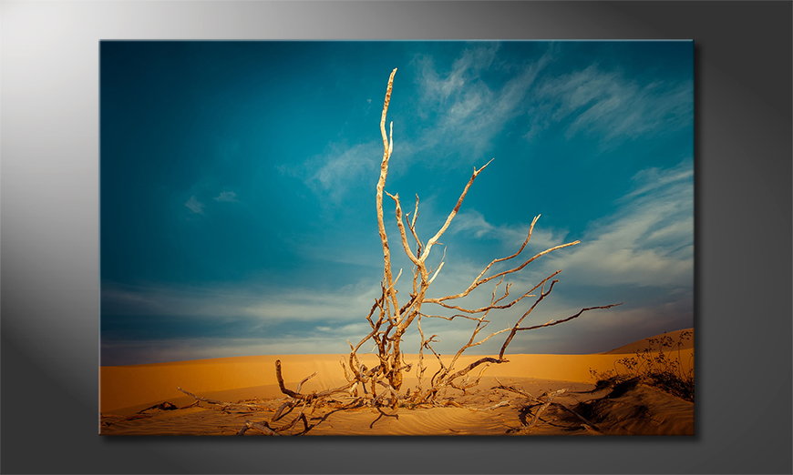 Desert-Landscape-quadro