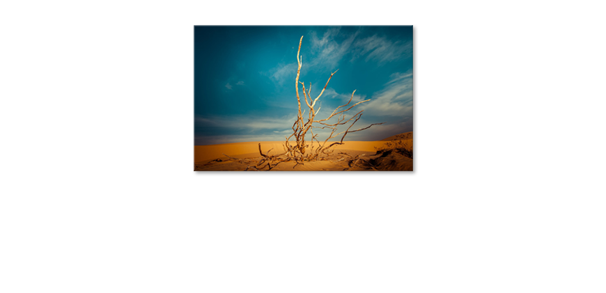 Desert-Landscape-quadro