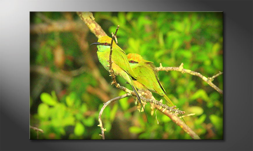 Green Birds quadro moderna