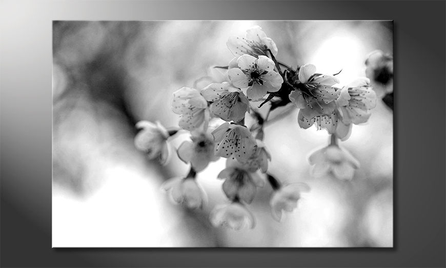 Il-quadro-stampati-Cherry-Blossoms