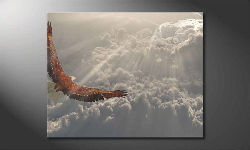 Il-quadro-stampati-Eagle-in-Flight-100x80-cm