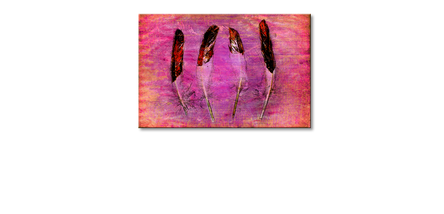 Il-quadro-stampati-Feathers-and-Pink