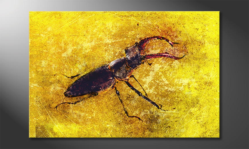 Il-quadro-stampati-Stag-Beetle