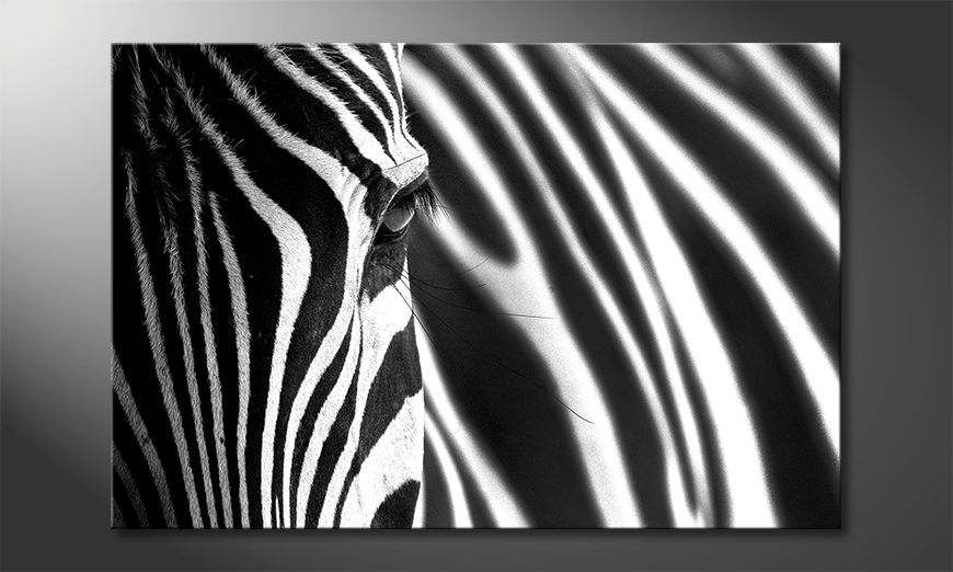 La-bella-pittura-Animal-Stripes