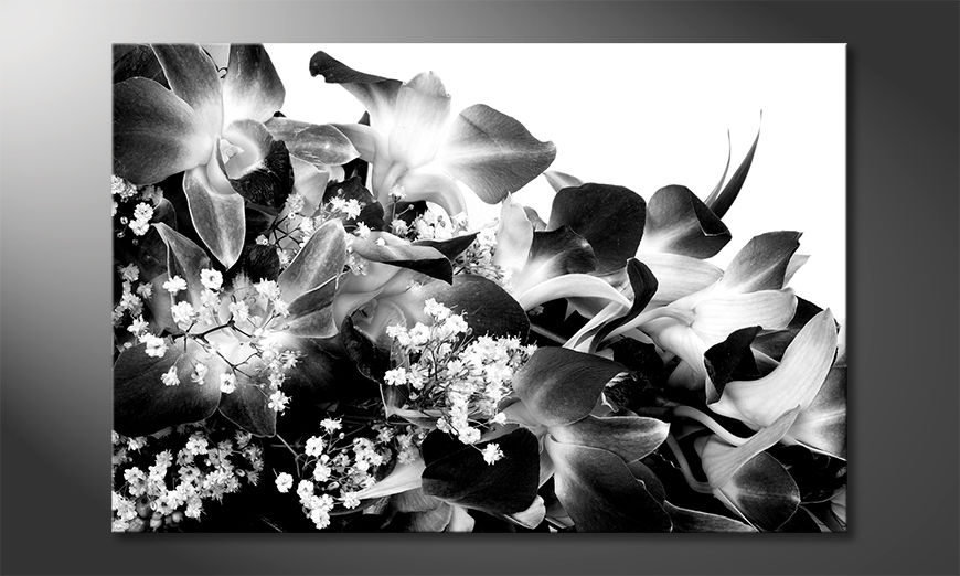 La-bella-pittura-Orchid-Blossoms