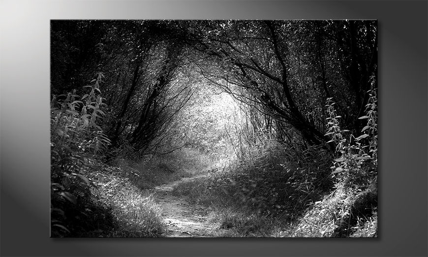 La-bella-pittura-Way-In-Deep-Forest