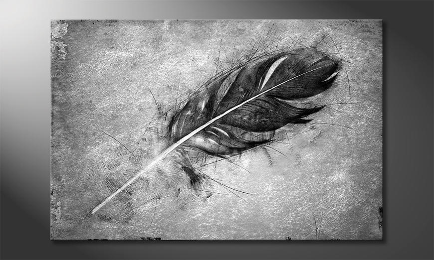 La stampa esclusivo Beautiful Feather