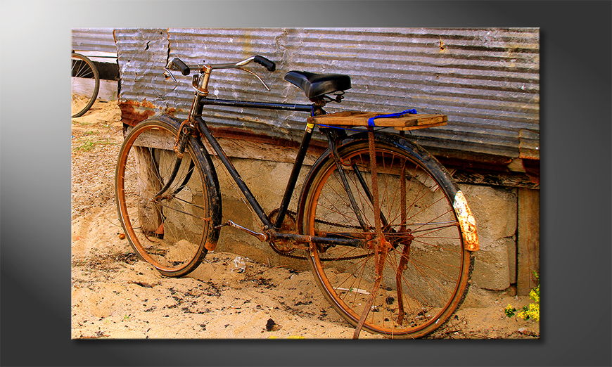 Old-Bicycle-quadro