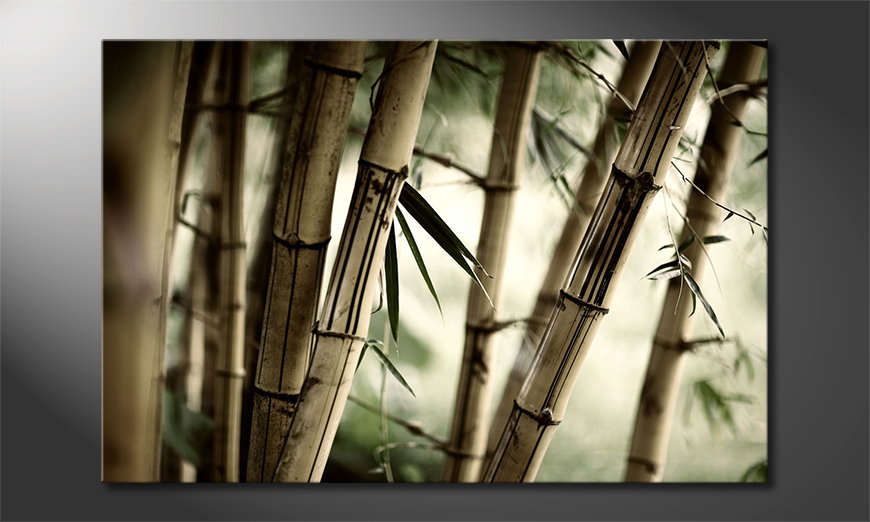 Quadro-Bamboo-Forest-60x40-cm
