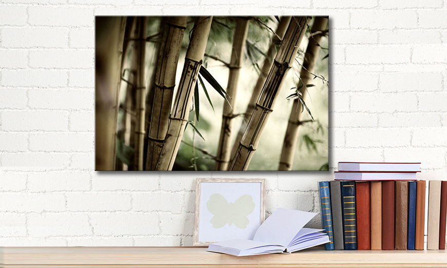 Quadro Bamboo Forest 60x40 cm