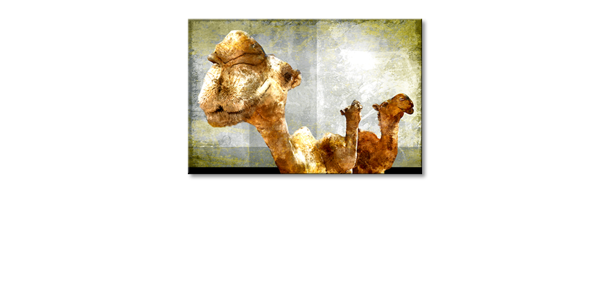 Quadro-Camel-Gang