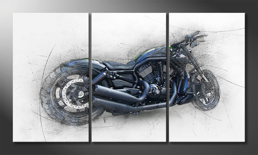 Quadro-Harley-Nr-6-180x100-cm