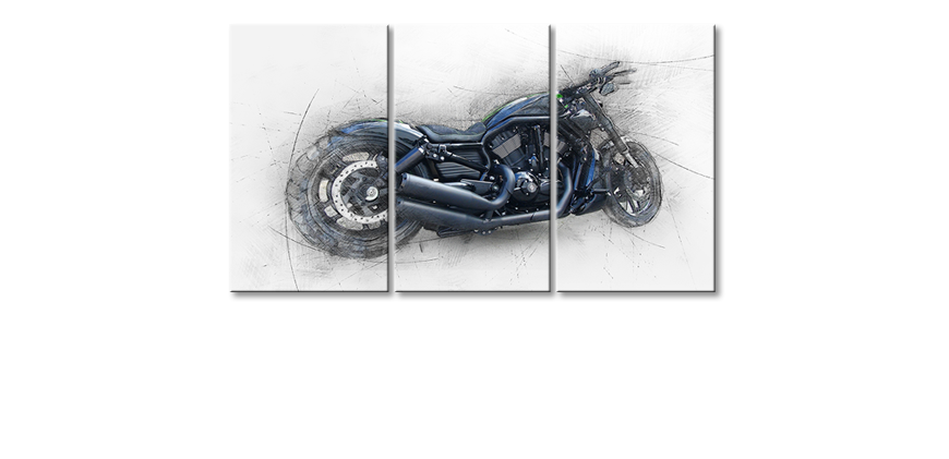 Quadro-Harley-Nr-6-180x100-cm