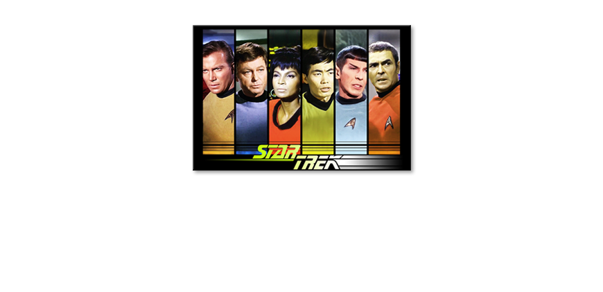 Quadro-Star-Trek-Crew