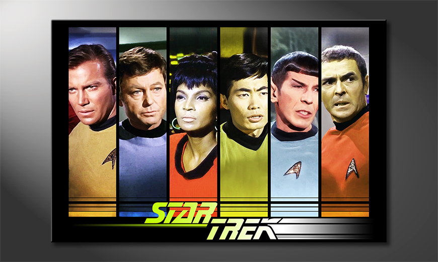 Quadro Star Trek Crew