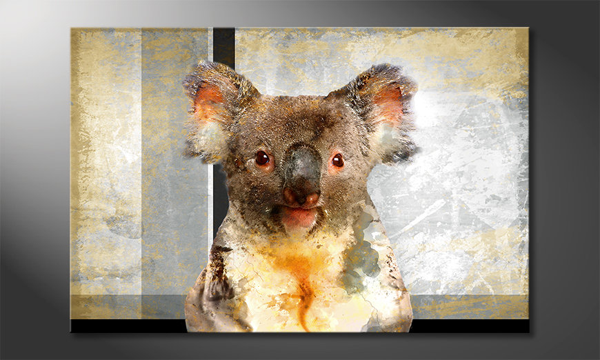 Quadro-moderno-Chill-Koala