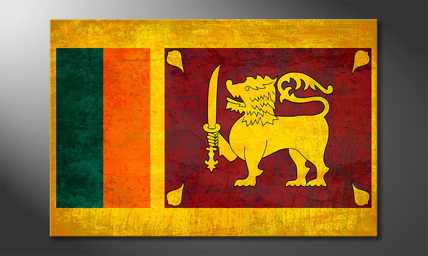 Sri-Lanka-quadro-moderni