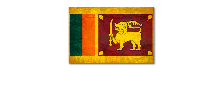 Sri-Lanka-quadro-moderni