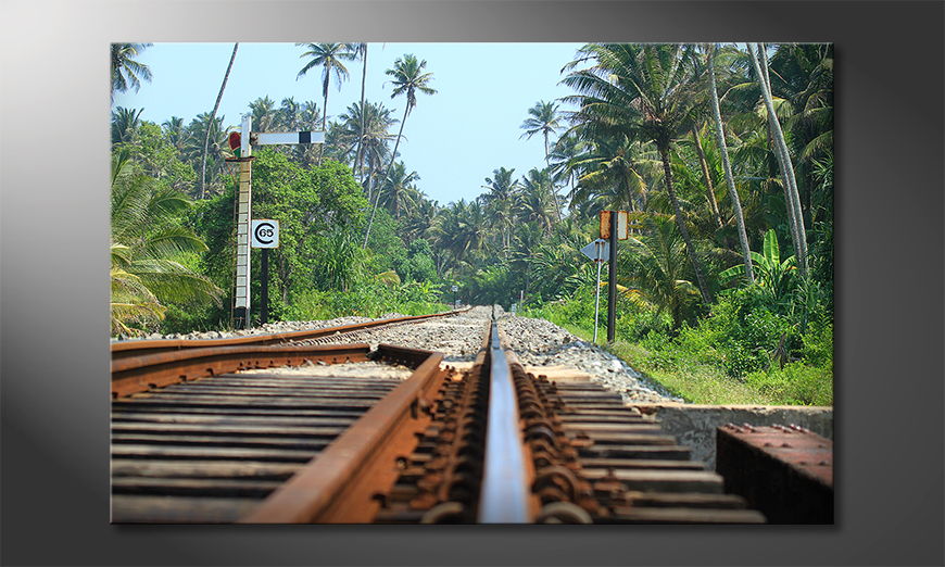 Srilankan-Rails-quadro