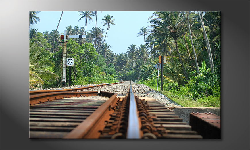 Srilankan Rails quadro
