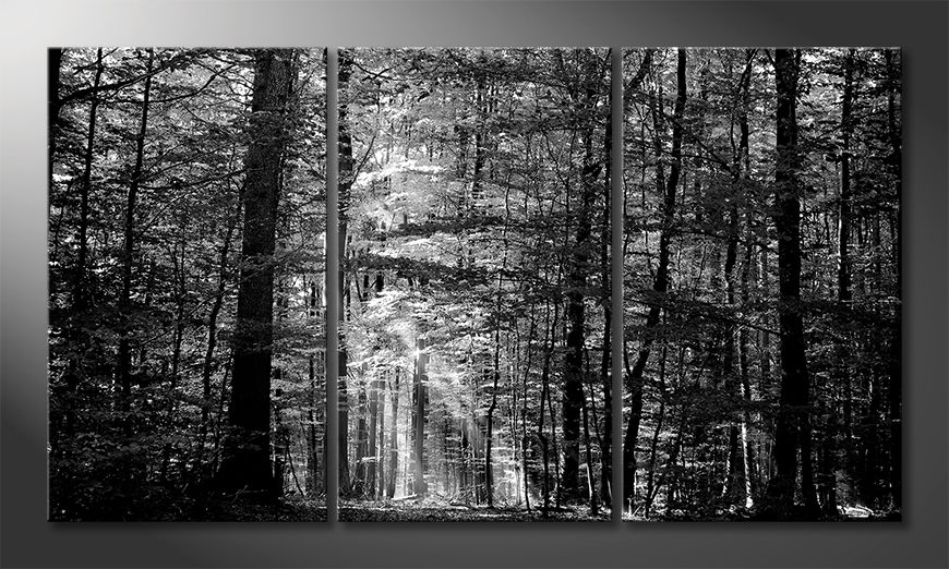 Stampa-su-tela-moderna-Into-the-Forest-180x100-cm
