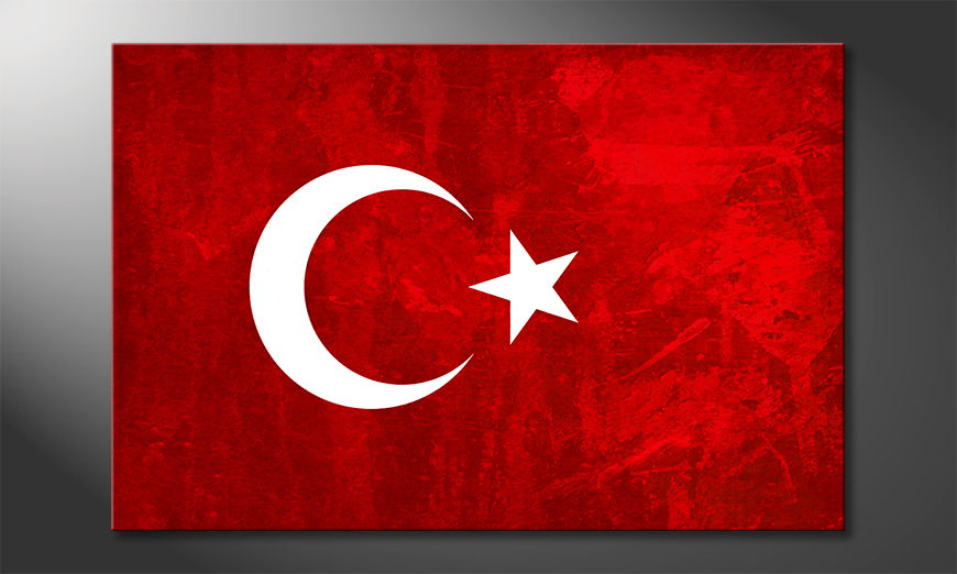 Turchia-quadro-moderni