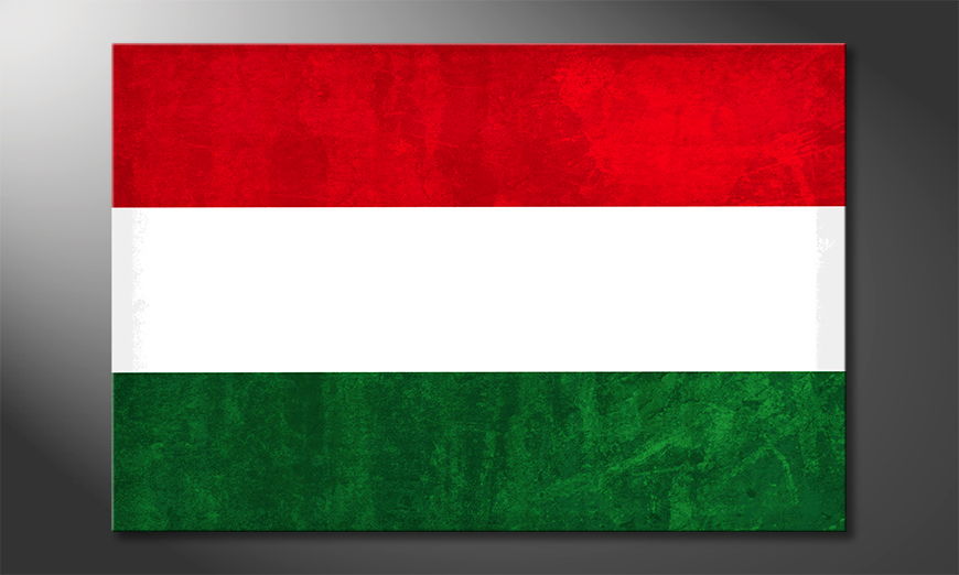 Ungheria-quadro-moderni