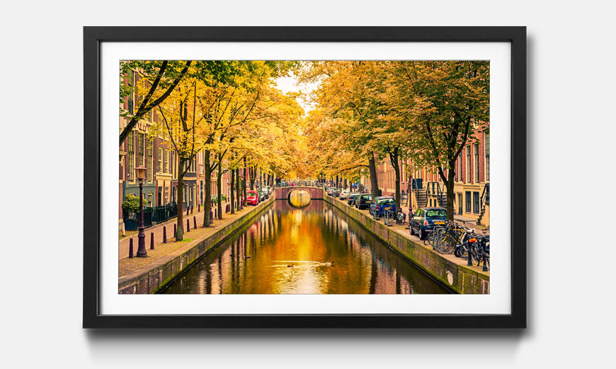 Il quadro con cornice Autumn In Amsterdam