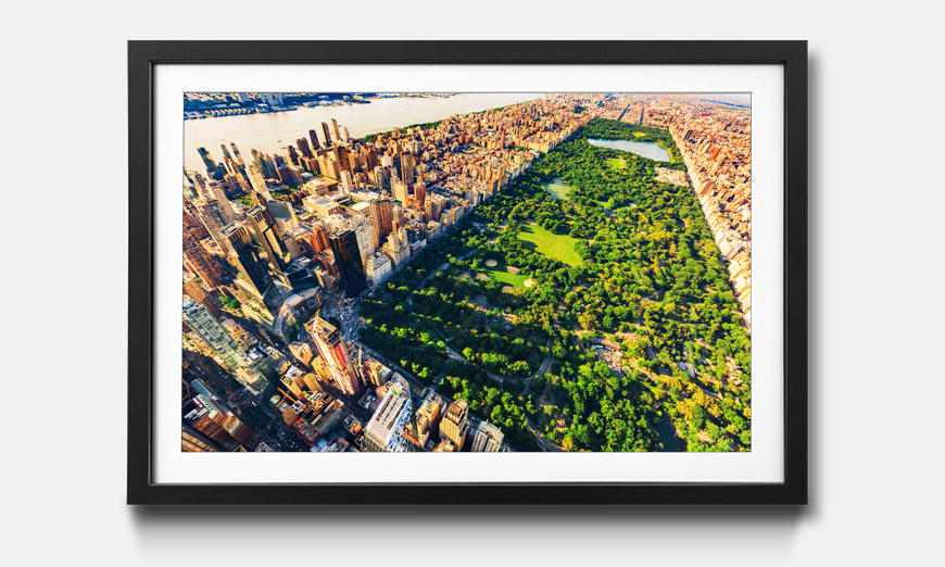 Il quadro con cornice Central Park