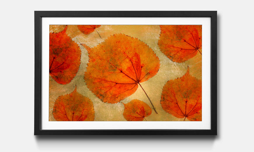 Il quadro con cornice Colorful Fall