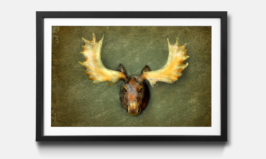 Il quadro con cornice The Elk
