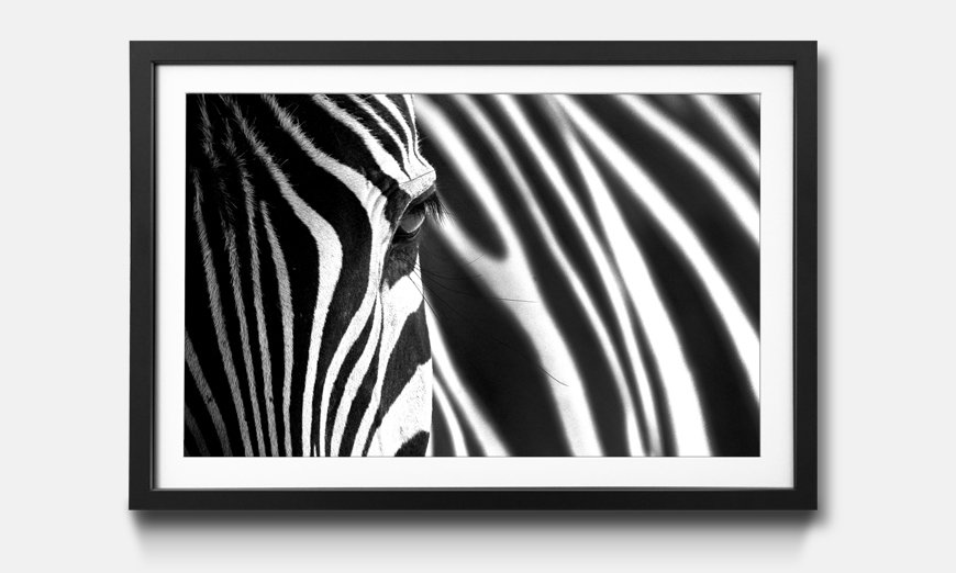Limmagine incorniciata Animal Stripes