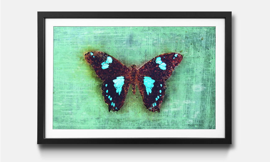 Limmagine incorniciata Gloomy Butterfly