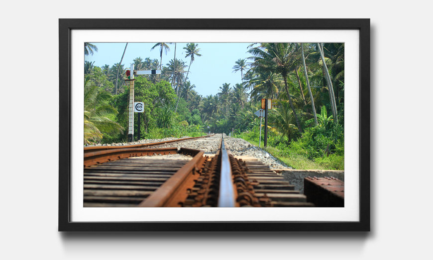 Limmagine incorniciata Sri Lanka Rails