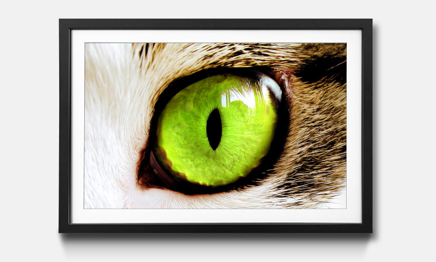 Stampa artistica incorniciata Cats Eye Green
