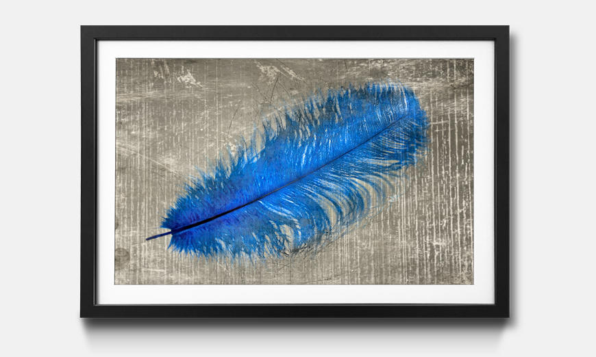 Stampa artistica incorniciata Feather In Blue