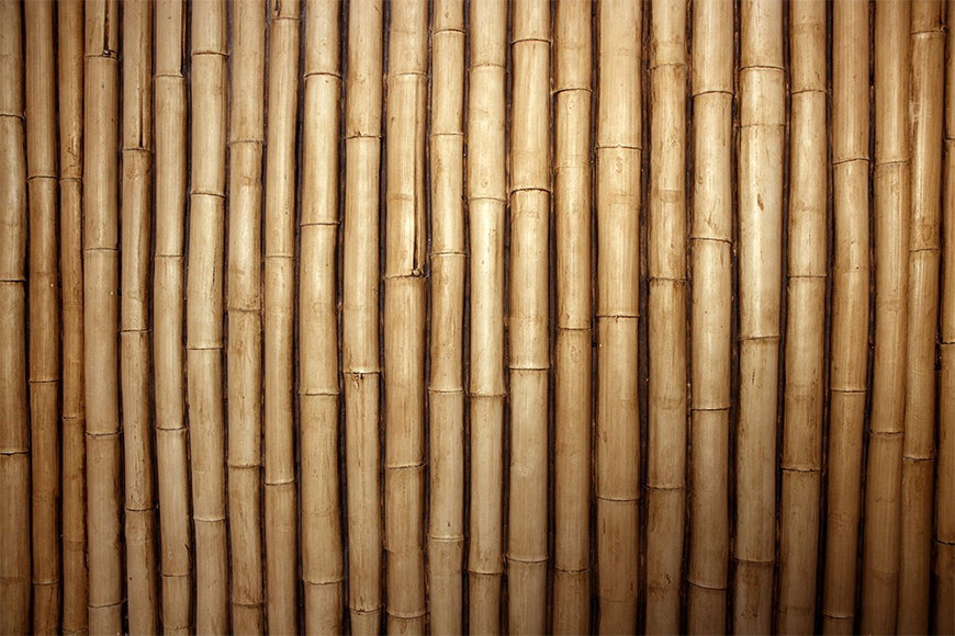 Carta da parati con motivo naturale Bambù da S a XXL